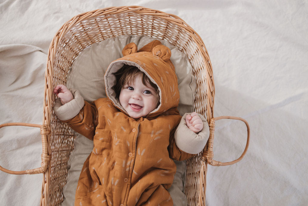 Fin online and Vince Bear Suit (Wheat) - 3/6 Months