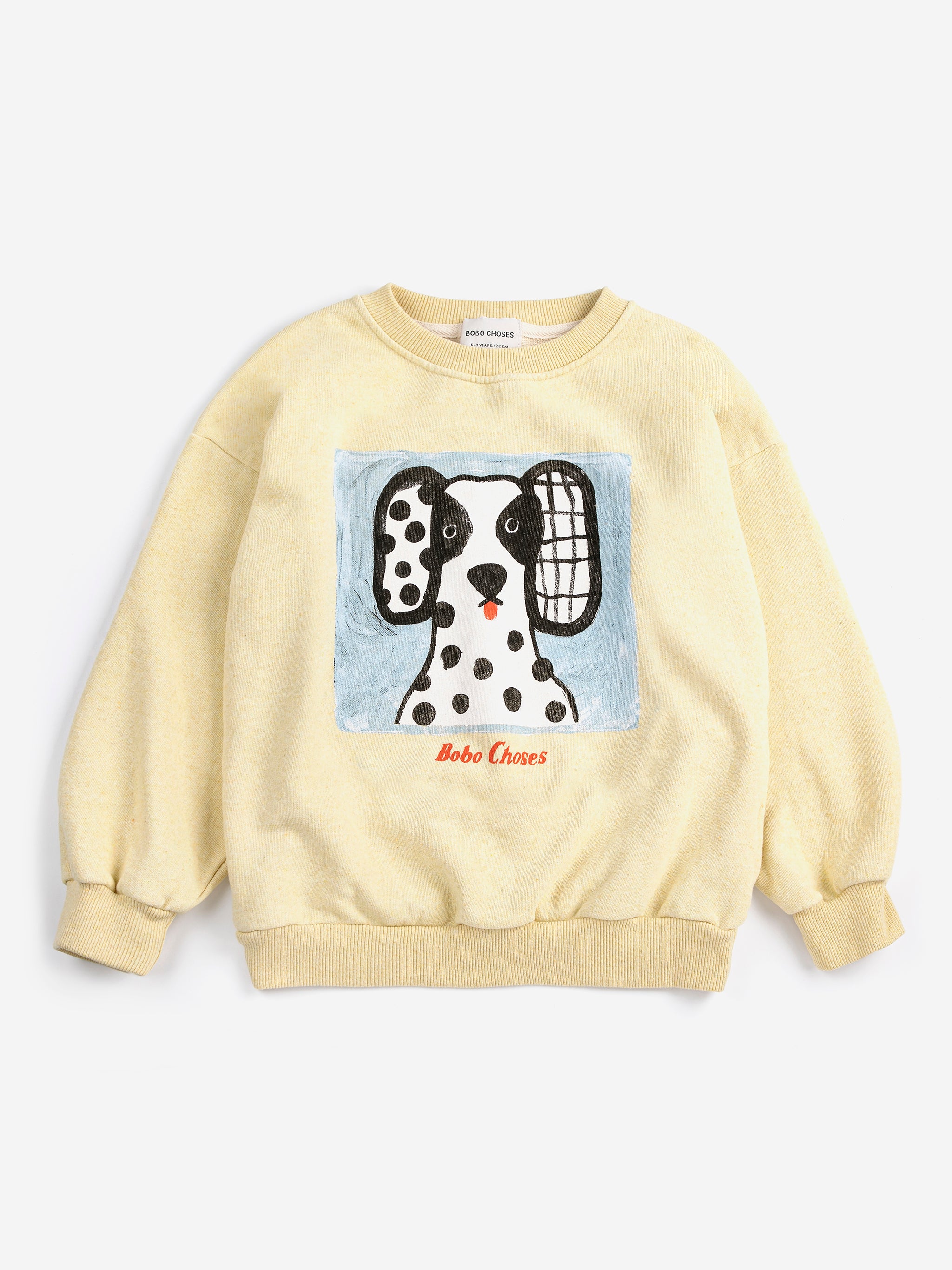 Bobo Choses - Van Dog Sweatshirt (Kid) – Hello Little Crew