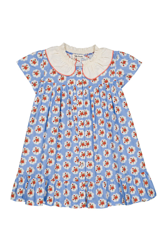 Hello Simone - Charlize Provence Dress