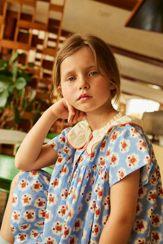 Hello Simone - Charlize Provence Dress