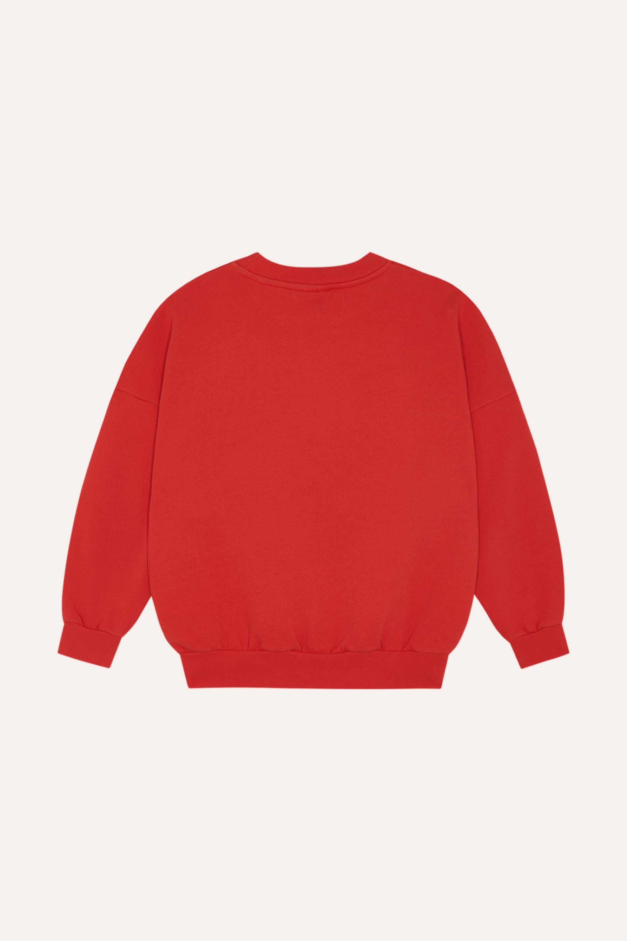 The Campamento - Reading Lion Sweatshirt – Hello Little Crew