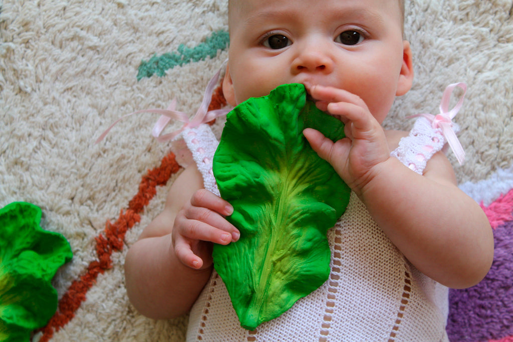Kendall the kale 2025